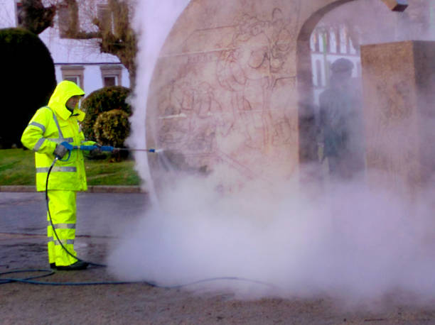 Best Residential Pressure Washing Services  in Battle Creek, NE